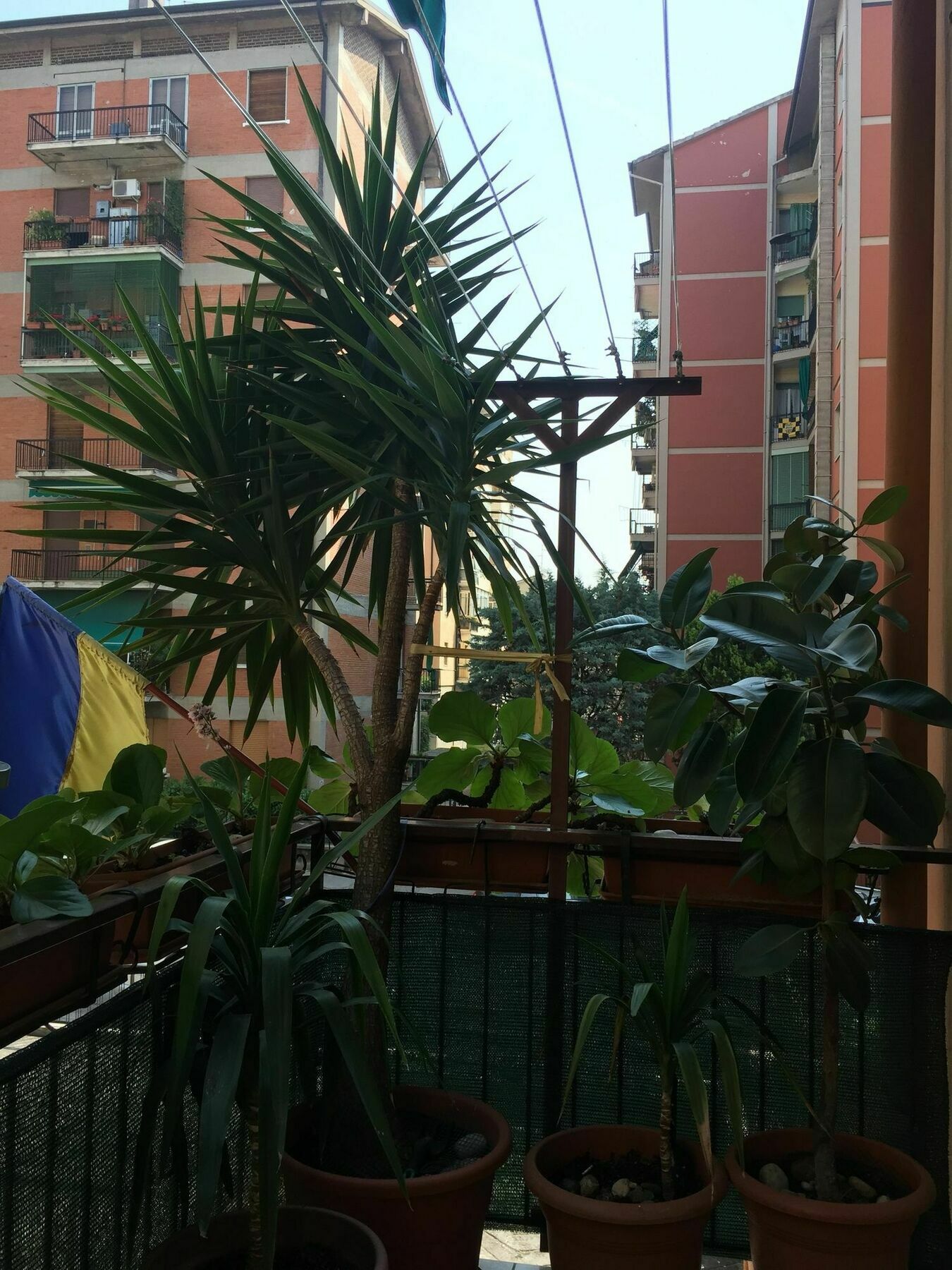 Locazione Turistica Sole Hotel Verona Luaran gambar